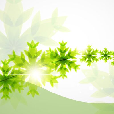 喜事简办：让简约婚礼成为婚俗新风尚