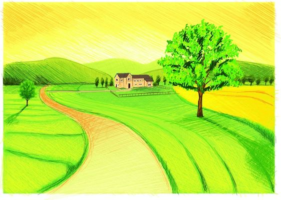 济宁市任城区田园新业态收获好“丰” 景